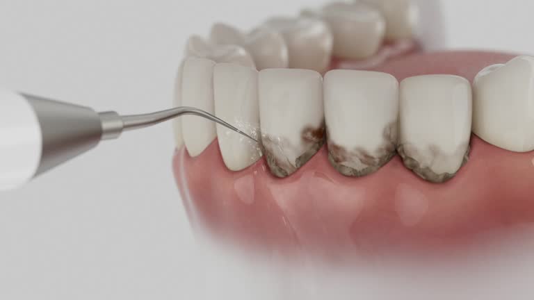 Reliable Dental contractor in Harrisonburg, VA by Dentist Open Now
